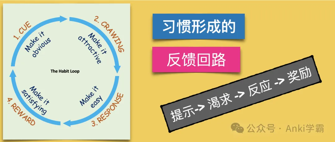 如何用Anki记忆“习惯形成的反馈回路”